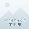 大玄一记(西游记同人)