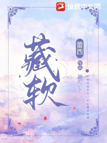 藏啥