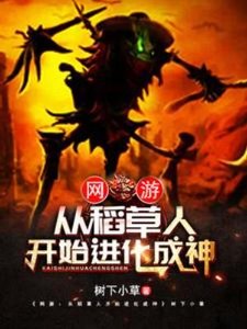 网游:从稻草人开始进化成神
