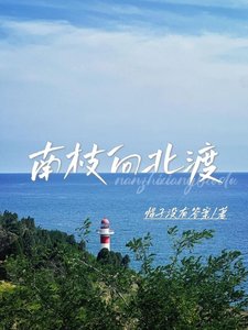 南枝向北渡
