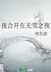 夜合开在无雪之夜