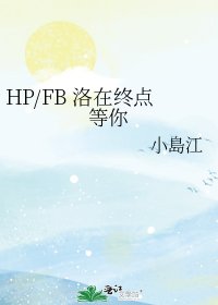 HP/FB 洛在终点等你