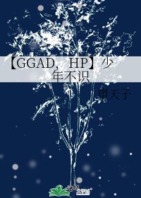 【GGAD,HP】少年不識