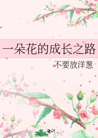 一朵花的成长之路
