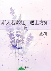 斯人若彩虹,遇上方知有