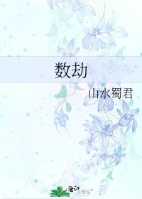 数劫
