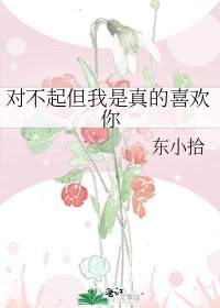 對不起但我是真的喜歡你