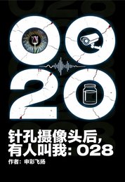 针孔摄像头后,有人叫我:028