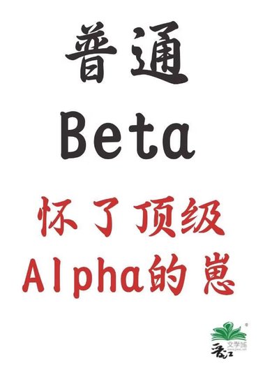 普通Beta,怀了顶级Alpha的崽