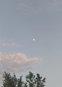 月亮第四十四次升起