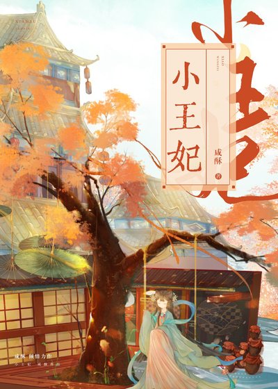 小王妃