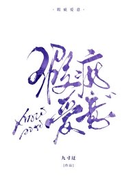 瑕疵皑意