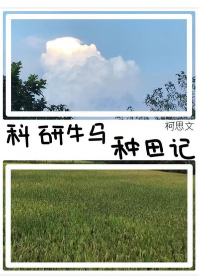 科研牛马种田记