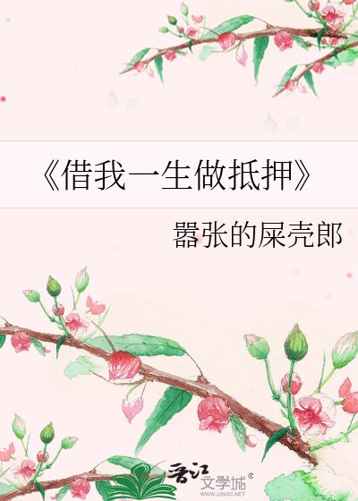 借我一生做抵押