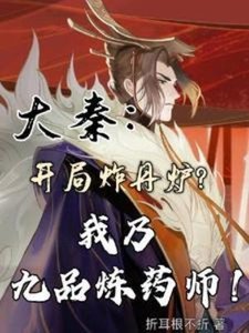 大秦開局炸丹爐,我乃九品煉藥師