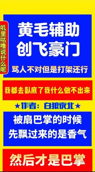 黄毛辅助,创飞豪门