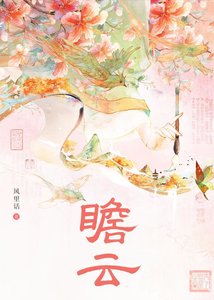 瞻雲
