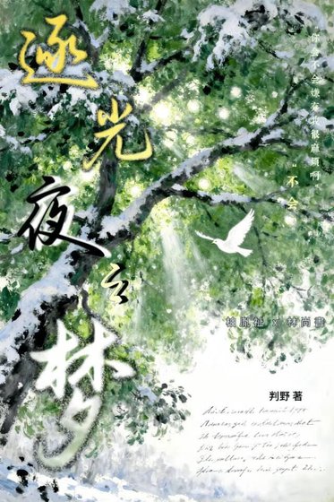 逐光夜之夢