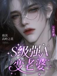 S級強A變老婆,褻瀆高嶺之花/我老婆是A級禁慾大佬!