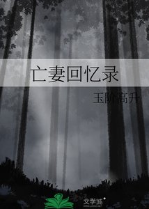 亡妻回憶錄
