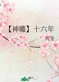 【神雕】十六年
