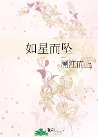 如星而坠
