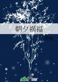 朝夕祸福