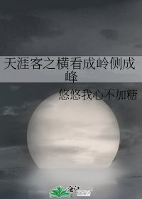 天涯客之横看成岭侧成峰