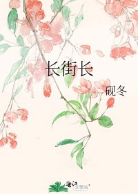 长街长