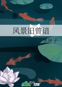 風景舊曾諳