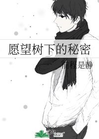 愿望树下的秘密