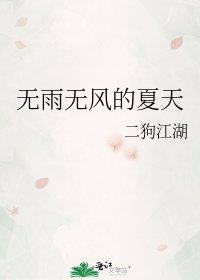 无雨无风的夏天