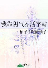 我靠限氣養活學霸