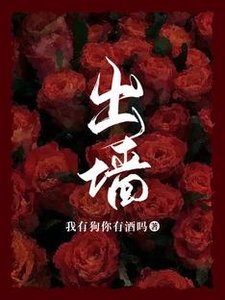 出牆
