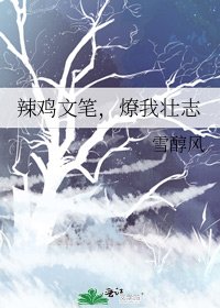 辣鸡文笔,燎我壮志