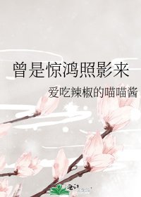 曾是驚鴻照影來
