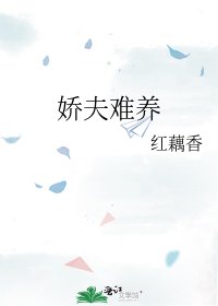 娇夫难养