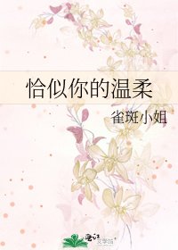 恰似你的温柔