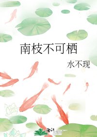 南枝不可栖