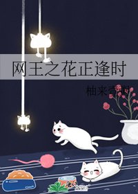 網王之花正逢時