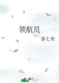 领航员