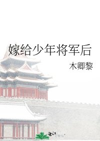 嫁给少年将军后