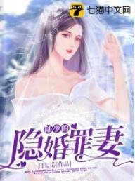 陆少的隐婚罪妻