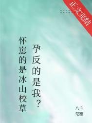 怀崽的是清冷美人,宿敌孕反?