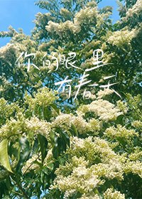 你的眼里有瘁天