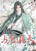 與龍傲天成婚百年後