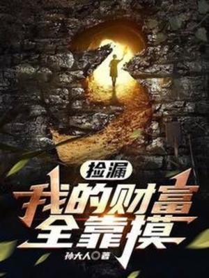 捡漏:我的财富全靠寞