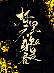 梦里不知郭是客GB