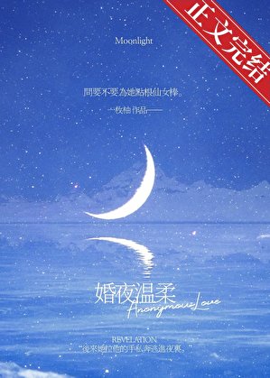 婚夜溫柔