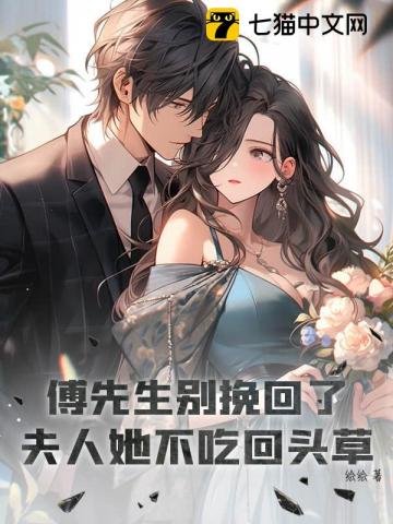 傅先生別挽回了,夫人她不吃回頭草